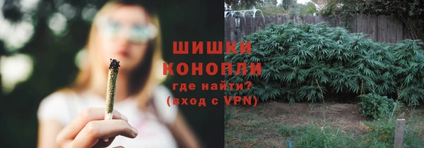 гашик Каменка