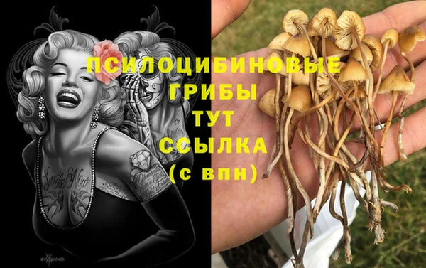 круглые Инсар
