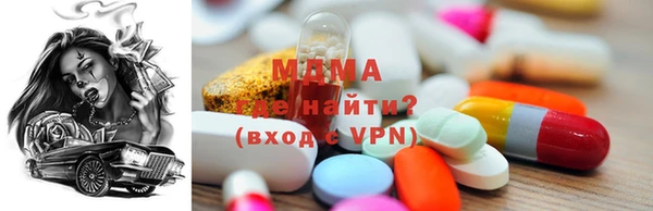 гашик Каменка