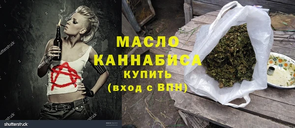 гашик Каменка