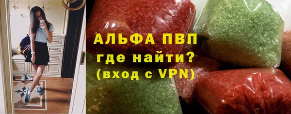 гашик Каменка