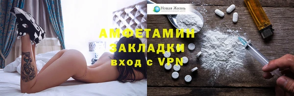 гашик Каменка